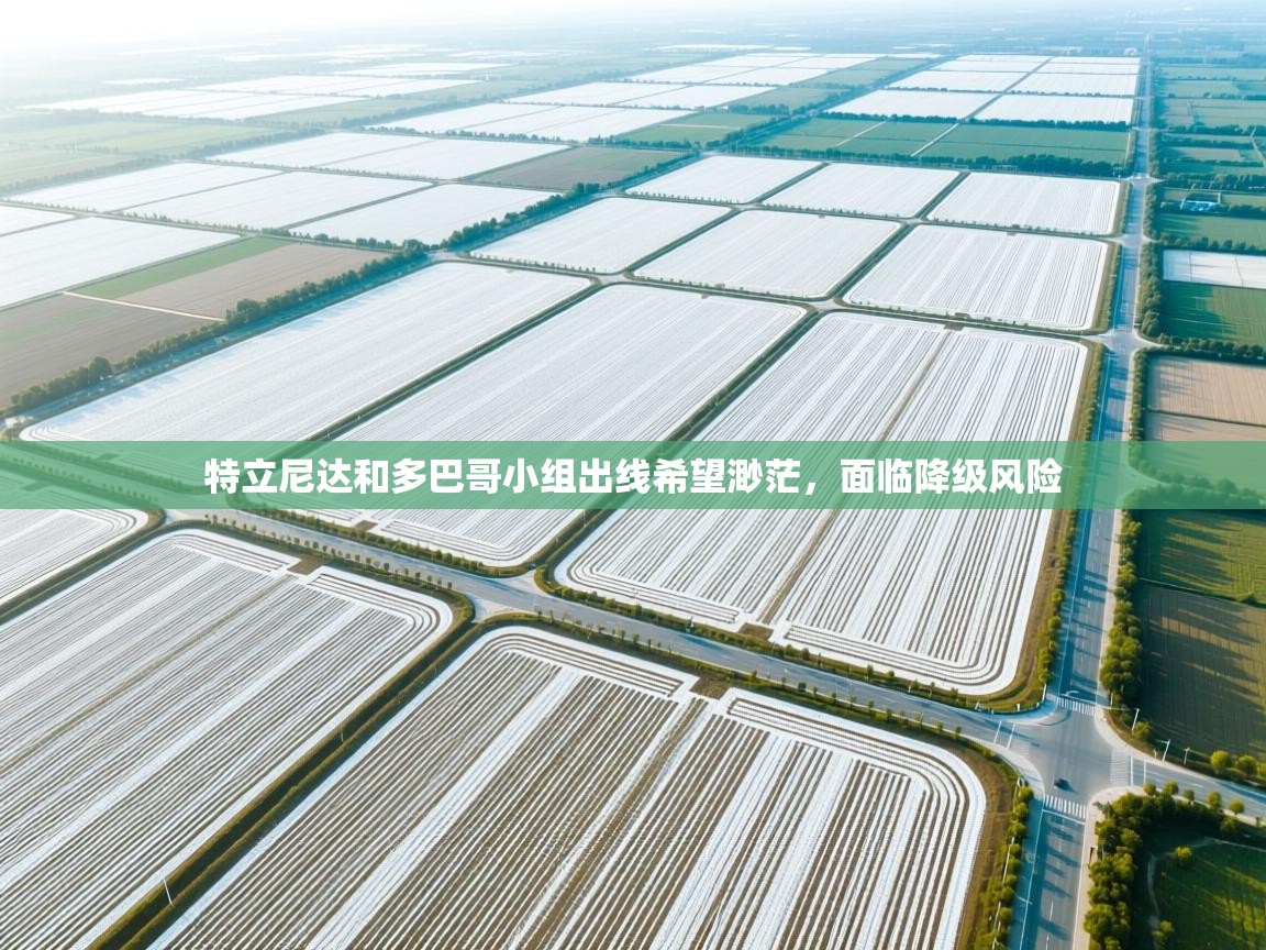 开云赛事-特立尼达和多巴哥小组出线希望渺茫，面临降级风险